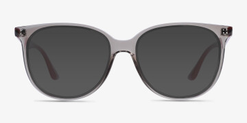 Ray Ban RB4378V Round Transparent Gray Frame Eyeglasses