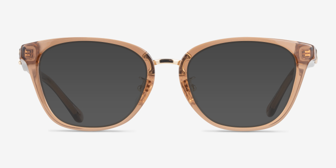 Coach HC6272F Transparent Brown MétalMontures de lunettes de vue d'EyeBuyDirect, Avec des Verres Teintés