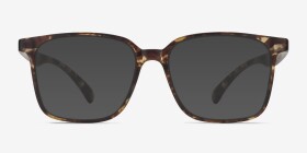 Magnus Matte Tortoise Plastique Montures de lunettes de vue d'EyeBuyDirect, with Tinted Lenses