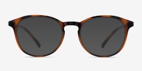 Brace Écailles Plastique Montures de lunettes de vue d'EyeBuyDirect, with Tinted Lenses