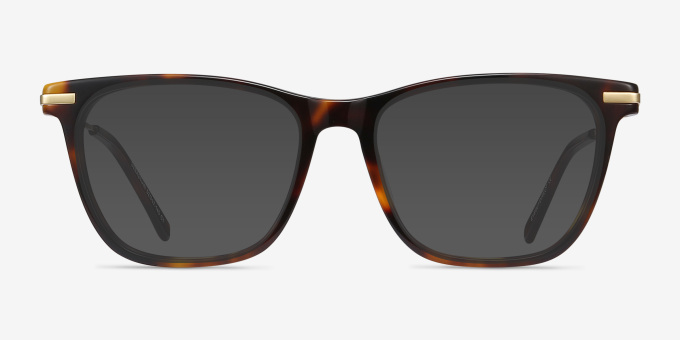 Sebastian Tortoise Acetate, MetalEyeglass Frames from EyeBuyDirect, with Tinted Lenses