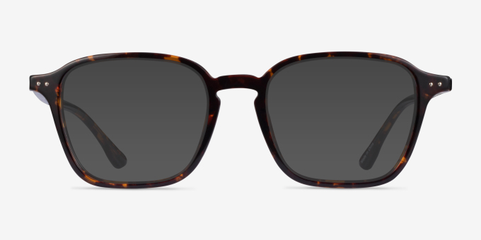 Whistler Tortoise PlasticEyeglass Frames from EyeBuyDirect, with Tinted Lenses