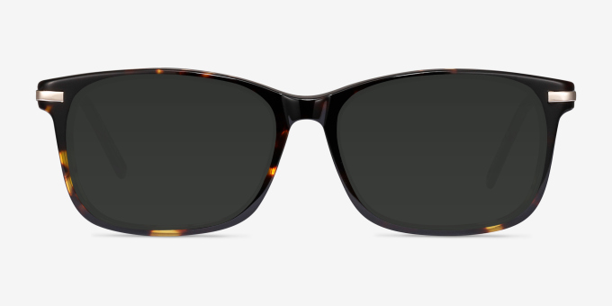 Phase Tortoise Acetate, MetalEyeglass Frames from EyeBuyDirect, with Tinted Lenses