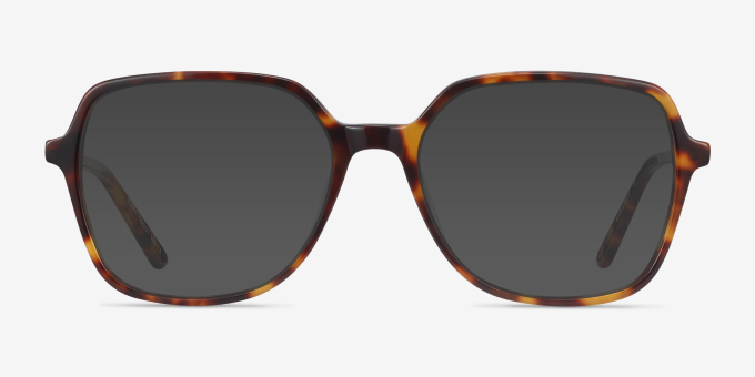 Lenny Tortoise Acetate, MetalEyeglass Frames from EyeBuyDirect, with Tinted Lenses